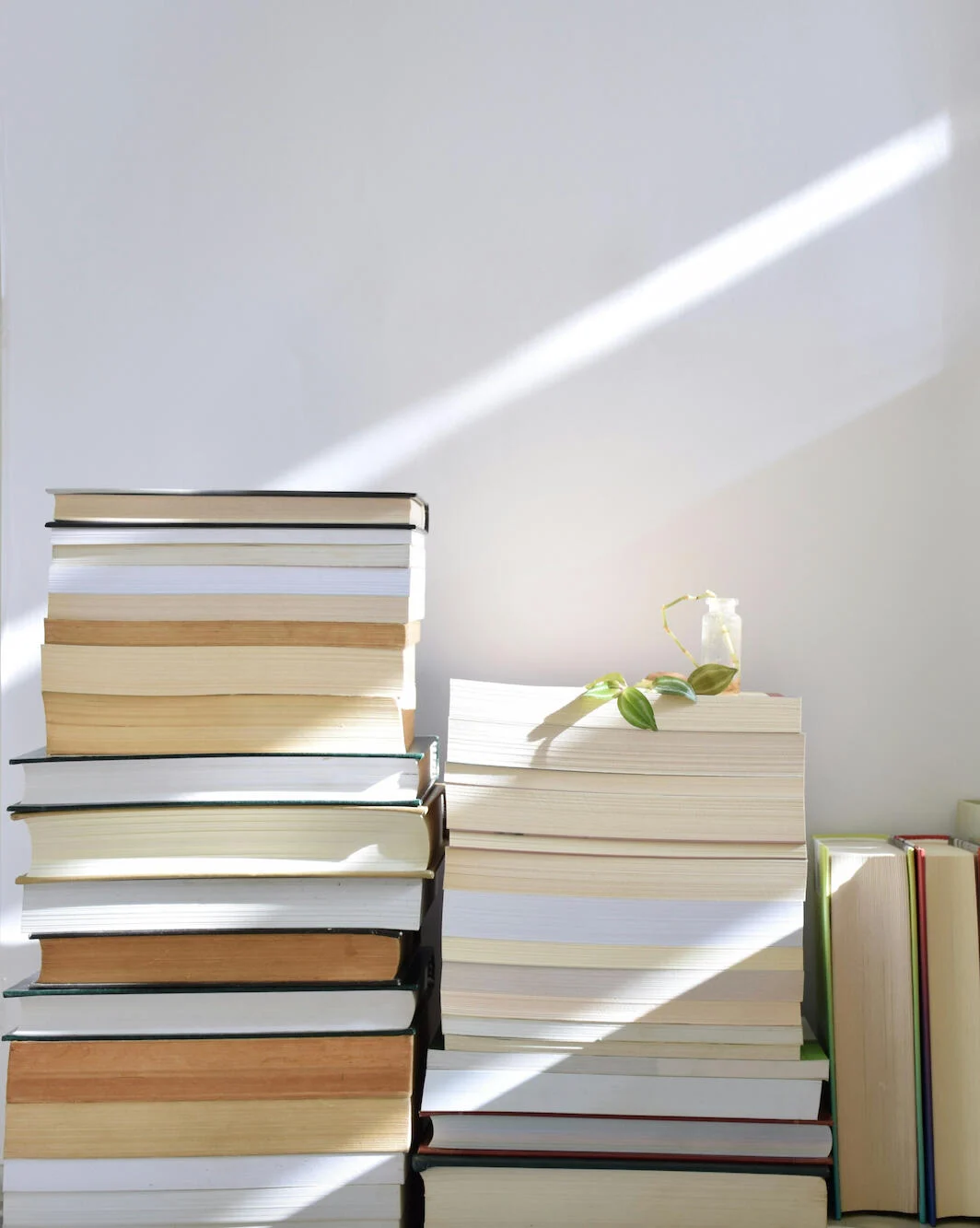 Window light across a stack of books